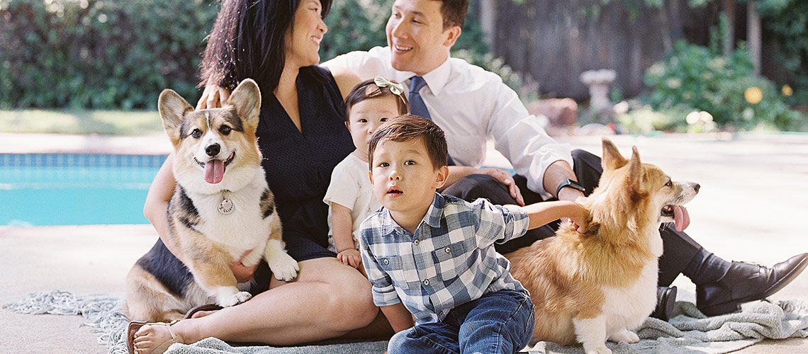 Corgi family hot sale